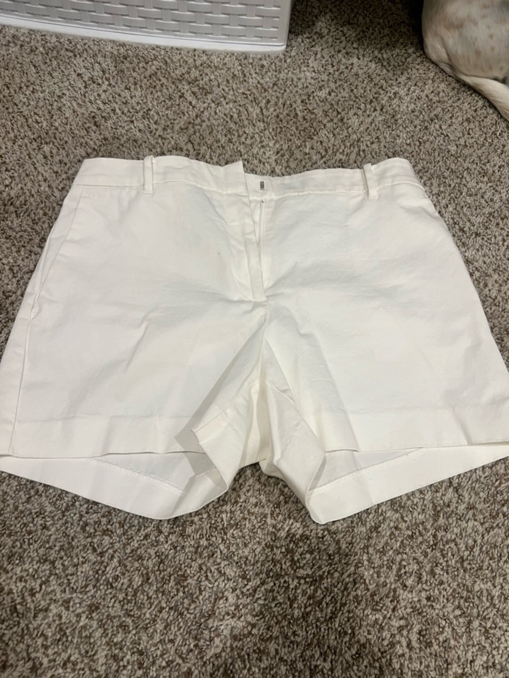 Ann Taylor White Flat Front Shorts